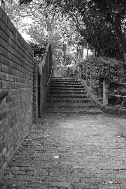 Black and white photograph of a downward outdoor staircase leading from a paved area to a lower level, with visible concrete steps bordered by a metal handrail on the right side and a wooden fence on the left, adjacent to a brick wall. The staircase is partially shaded by surrounding trees and bushes, with some fallen leaves scattered on the steps and paving. This scene depicts an accessible pathway typical of residential areas where home relocation or furniture transport might occur, highlighting potential driveway stairs and access challenges. Man with Van Maida Vale often provides services to navigate such obstacles during house removals or moving processes, ensuring safe and efficient furniture transport and packing within tight or uneven access points.