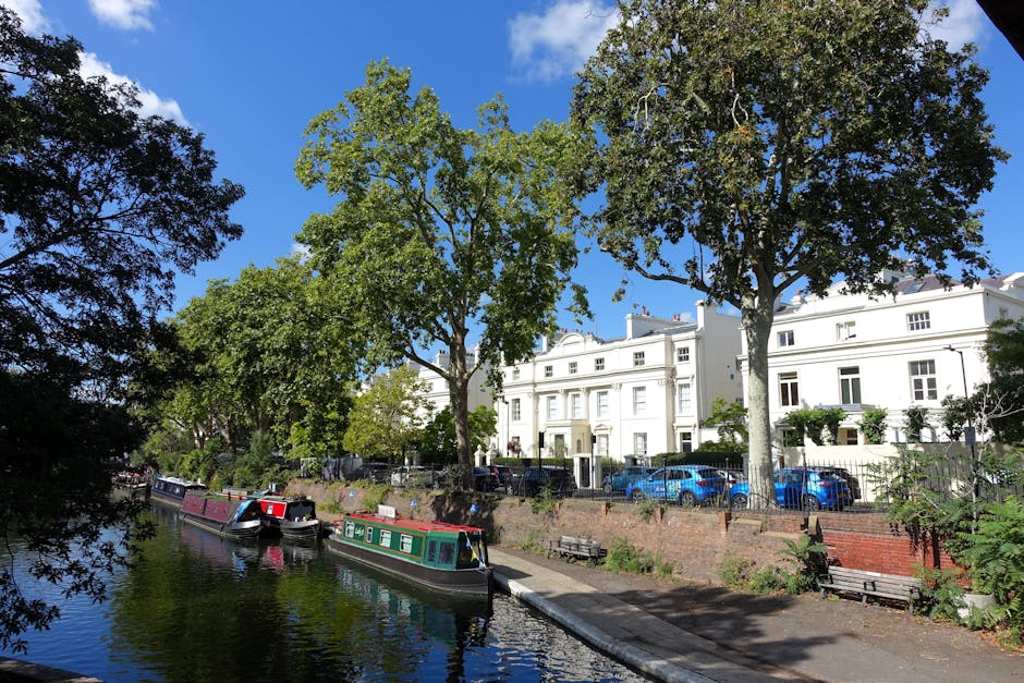 A daytime scene along the Little Venice canal in Maida Vale featuring two tall, leafy green trees with dense foliage, positioned in front of a row of white Victorian-style terraced townhouses with cla