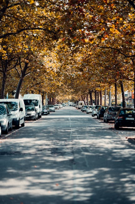 A view of a narrow street in Maida Vale during daytime, lined with parked cars on both sides and shaded by mature trees with yellow and orange autumn foliage. The street appears quiet and is suitable for small-scale home relocation or furniture transport, with vehicles parked along the pavement and no pedestrians visible. This scene reflects typical urban residential surroundings where moving services by Man with Van Maida Vale may operate, featuring a clear roadway for loading and unloading equipment, and a peaceful environment ideal for organized household moves or packing and moving logistics.